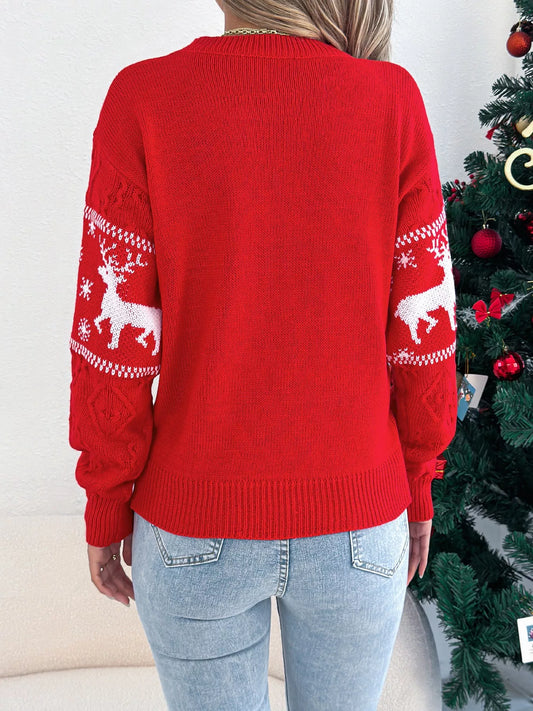 Christmas Reindeer Round Neck Sweater - Tigbul's Variety Fashion Shop