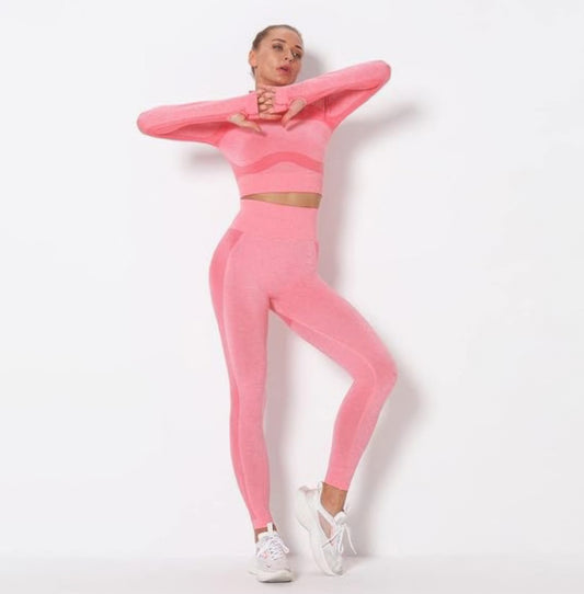 Seamless Long Sleeve Yoga Set - Tigbul's Variety Fashion Shop