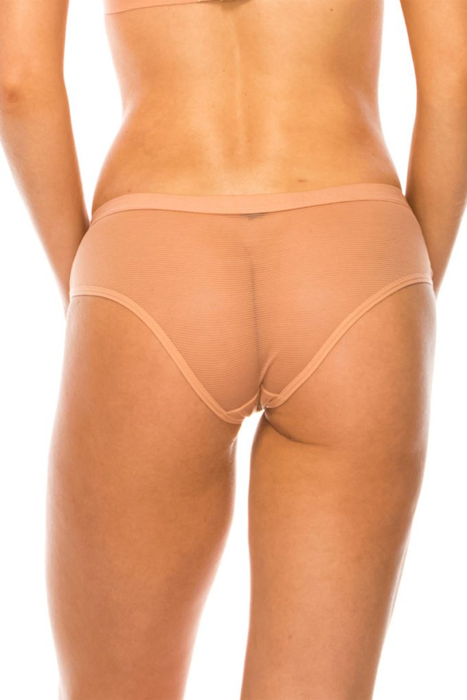 Mesh Hipster Panty - Tigbuls Fashion