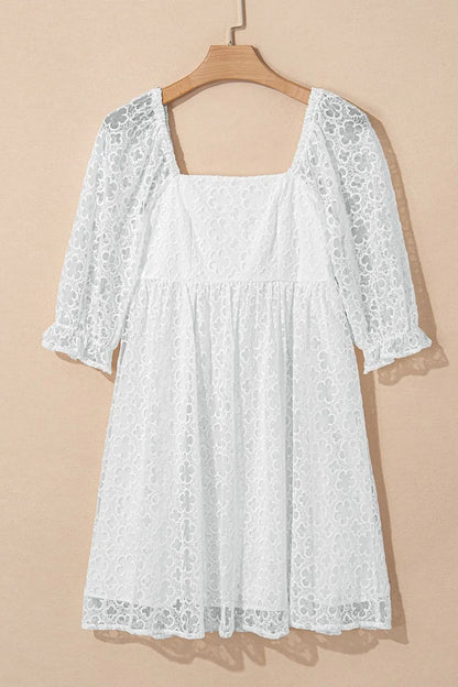 Lace Puff Sleeve Empire Waist Mini Dress - Tigbul's Variety Fashion Shop