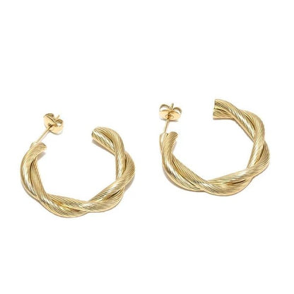 Sedona Twisted Hoop Earrings - Tigbuls Variety Fashion