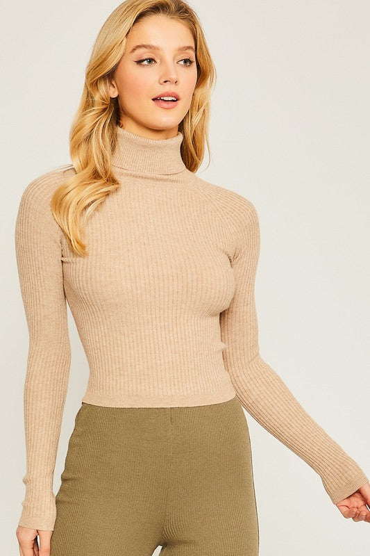 Turtleneck Ribbed Knit Sweater Top - Tigbuls Variety Fashion