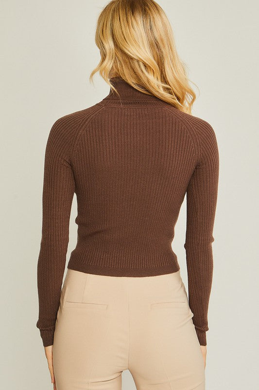 Turtleneck Ribbed Knit Sweater Top - Tigbuls Variety Fashion