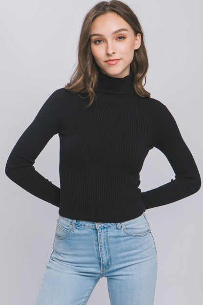 Turtleneck Ribbed Knit Sweater Top - Tigbuls Variety Fashion