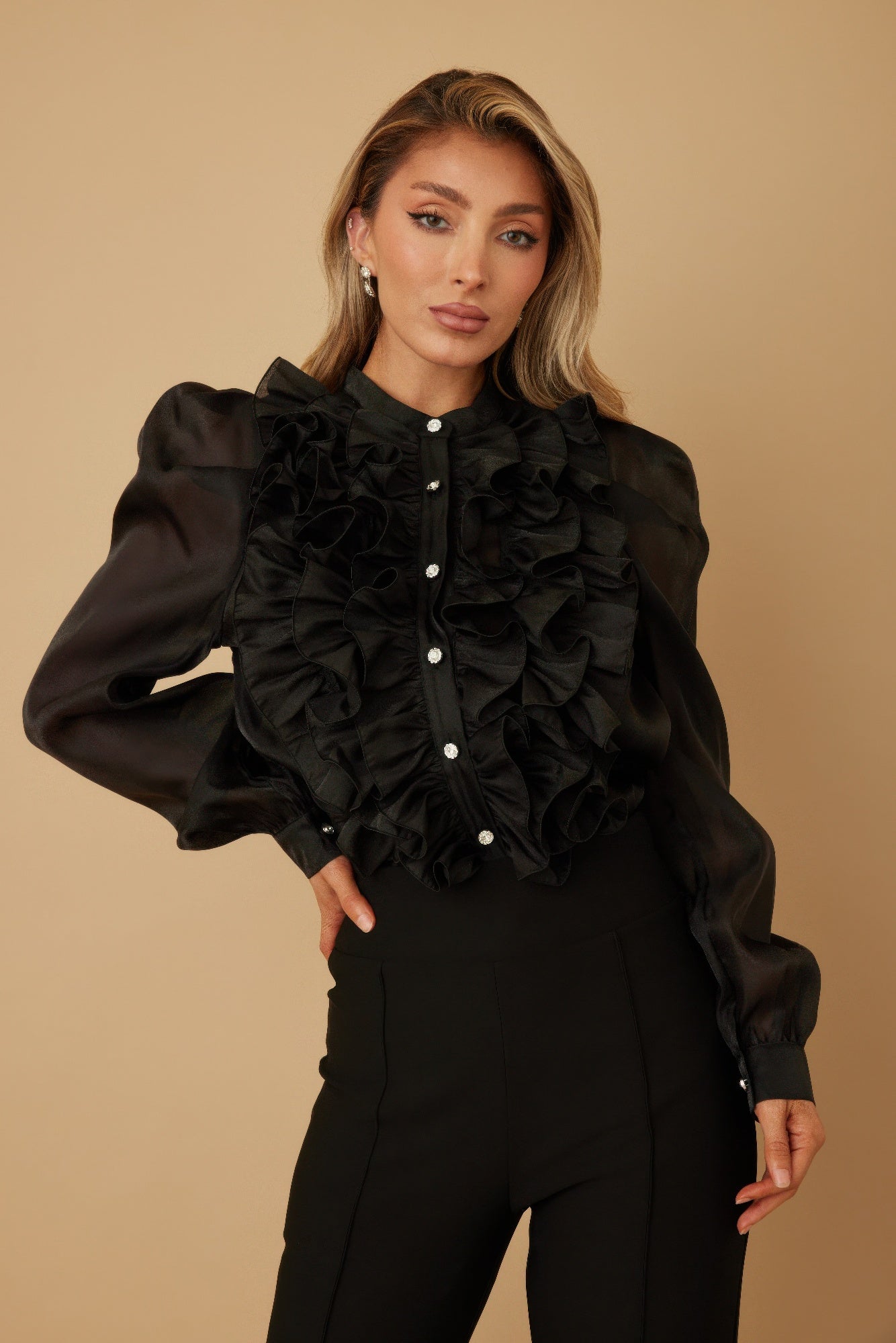 Ruffle Micro Crystal Long Sleeve Blouse - Tigbul's Variety Fashion Shop