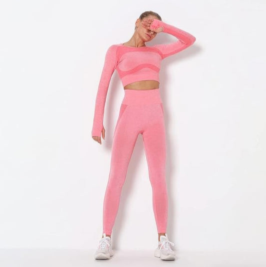 Seamless Long Sleeve Yoga Set - Tigbul's Variety Fashion Shop