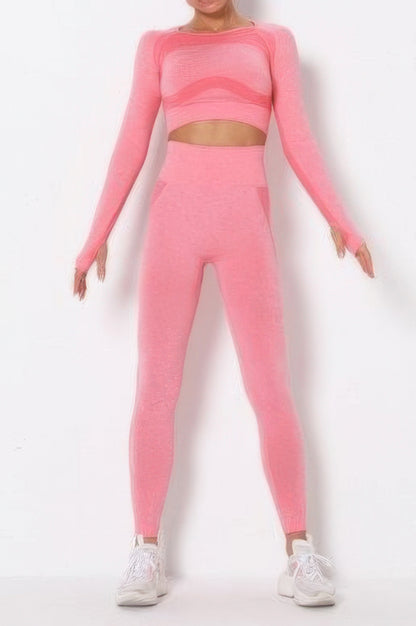Seamless Long Sleeve Yoga Set - Tigbul's Variety Fashion Shop