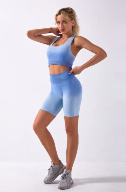 Ombre Seamless Two Piece Set - Tigbul's Variety Fashion Shop