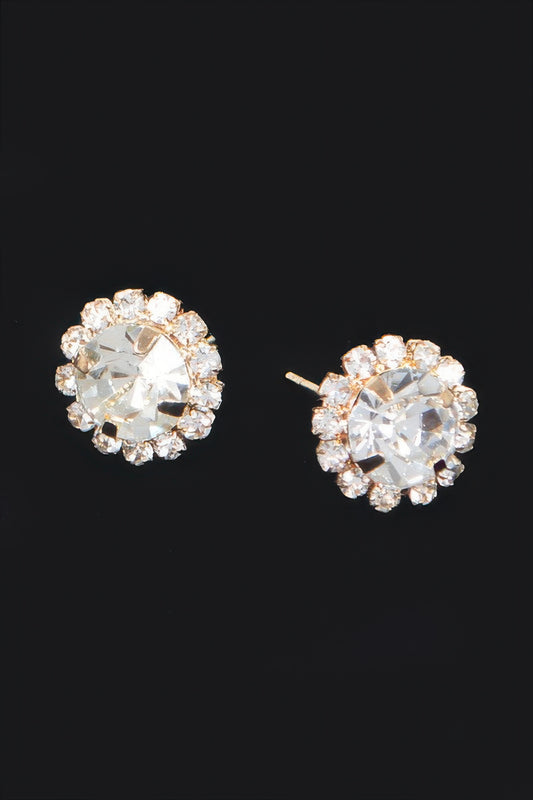 Stone Stud Earring - Tigbul's Variety Fashion Shop