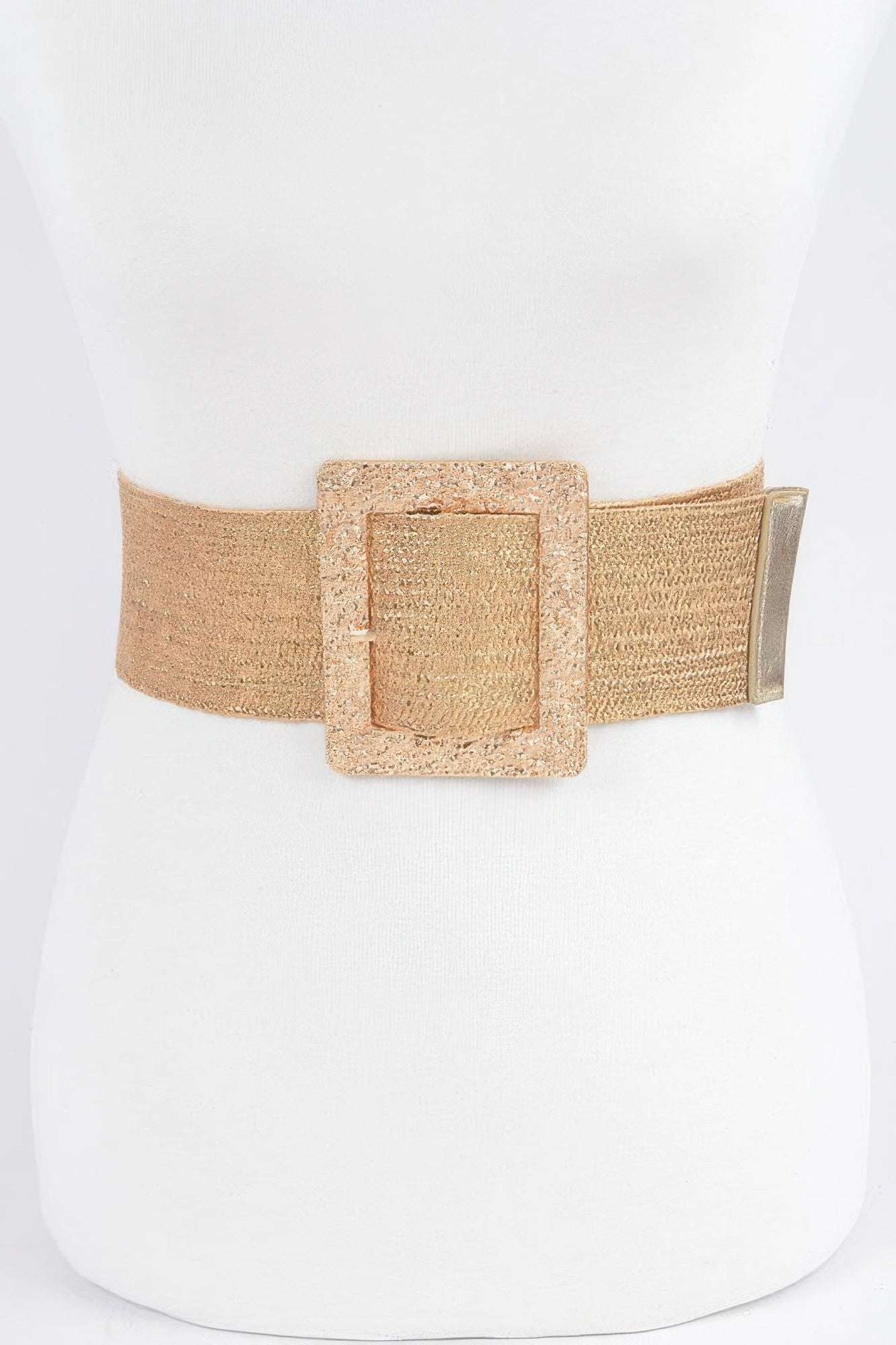 Wide Metal Buckle Clear Belt - Tigbul's Variety Fashion Shop