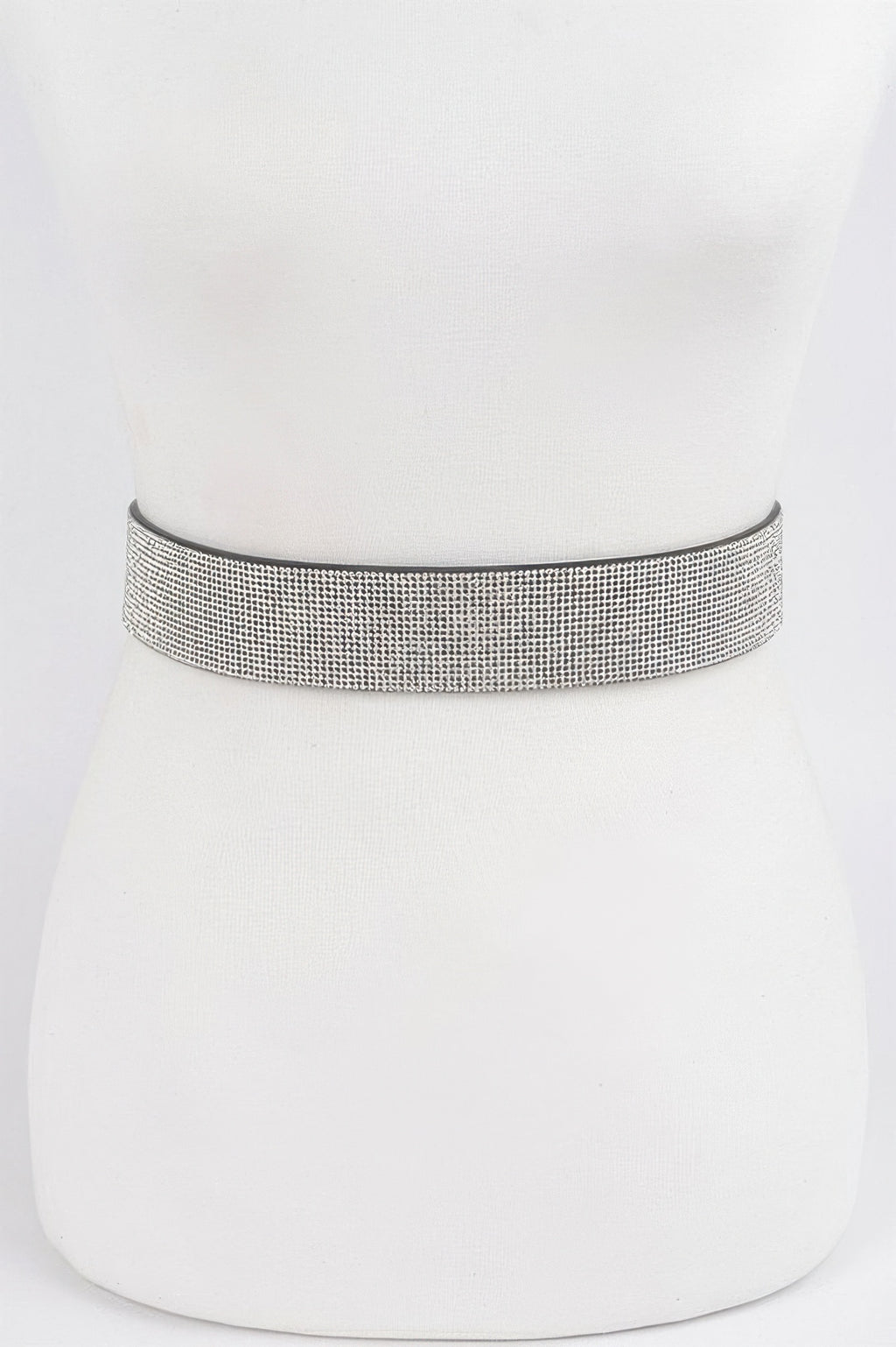 Full rhinestone waist belt with silver mesh band, on mannequin