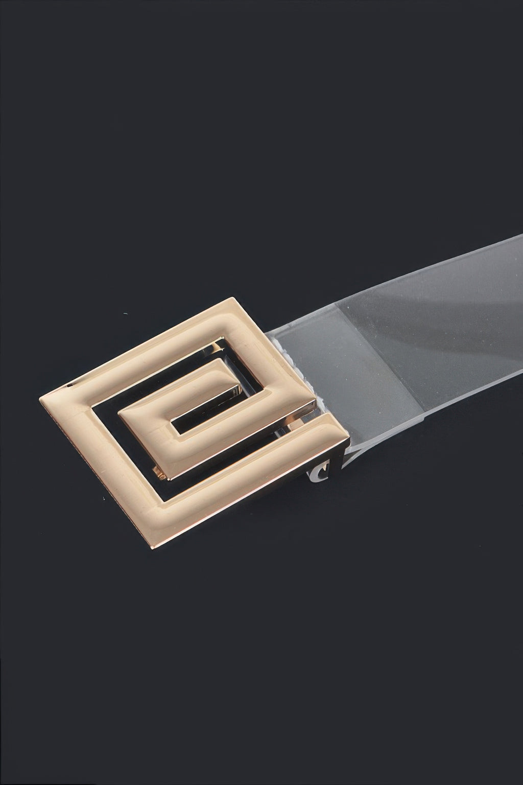 Gold-tone square metal buckle detail on clear vegan belt strap