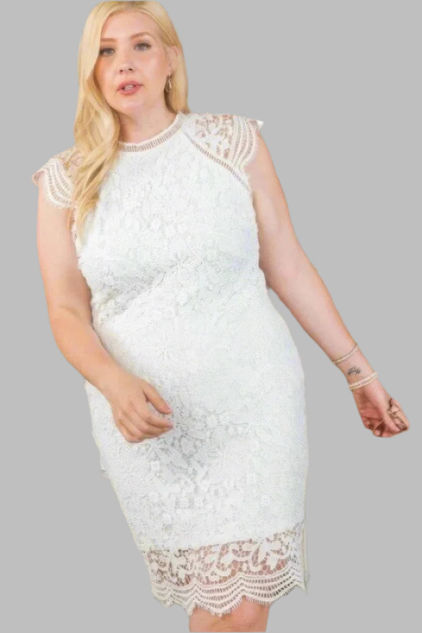 Plus Size Lace Crochet Mini Special Occasion Dress - Tigbul's Variety Fashion Shop