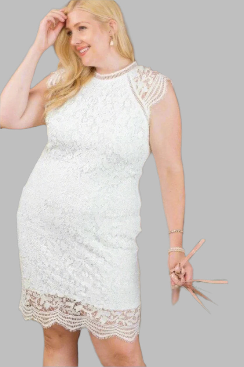 Plus Size Lace Crochet Mini Special Occasion Dress - Tigbul's Variety Fashion Shop
