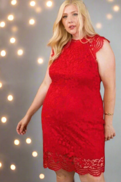 Plus Size Lace Crochet Mini Special Occasion Dress - Tigbul's Variety Fashion Shop