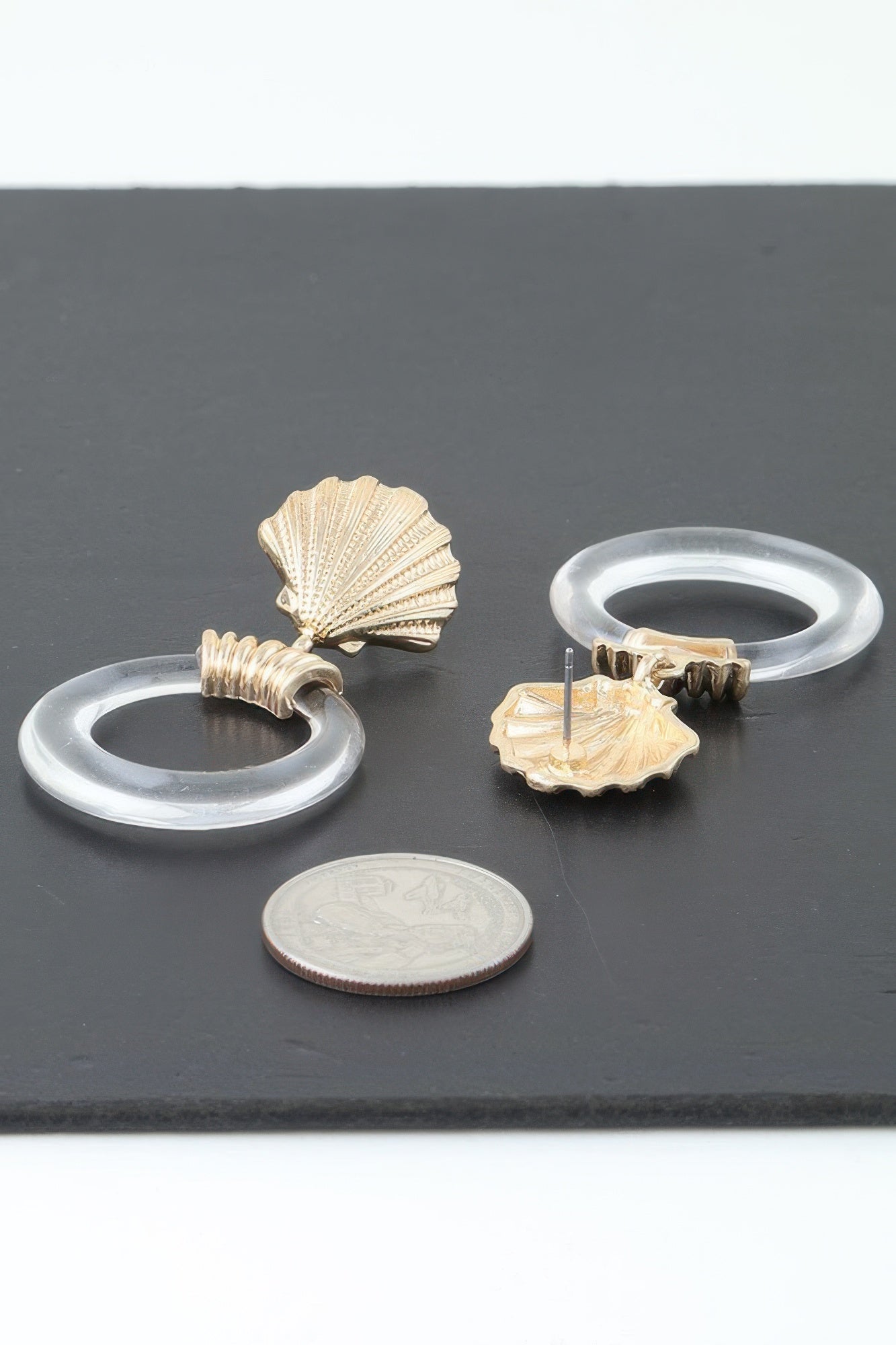 Sea shell stud earrings with large translucent hoop circles
